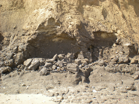  Skipsea south: 5 August 2011 